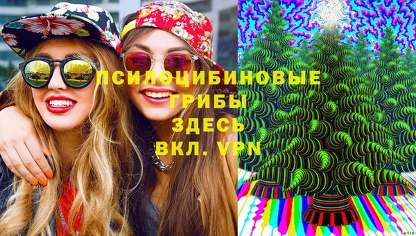 амф Медвежьегорск