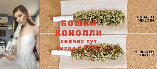амф Мегион