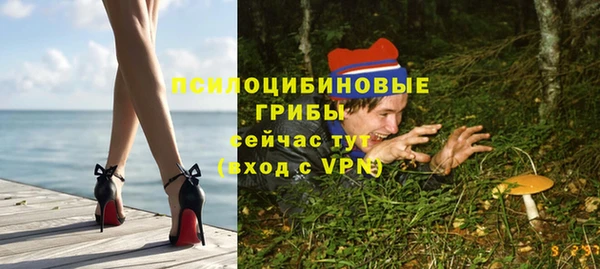 спайс Медногорск